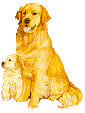 retriever%201007.gif