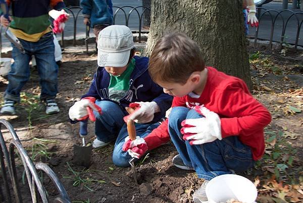 WSMS Bulb Planting 006