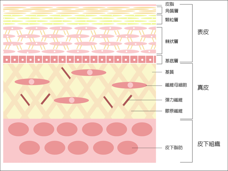 PicoSure755皮秒雷射蜂巢透鏡鴉片面膜美白膚質毛孔斑點雷射皮膚保養美肌博士.png