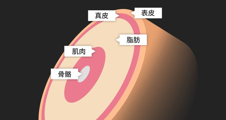 SculpSure絲酷秀體雕儀器非侵入式體雕減脂瘦身下半身肥胖美肌博士 (4).jpg