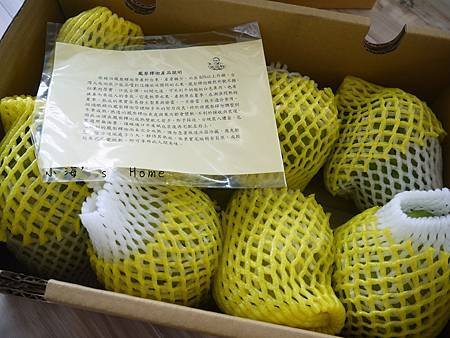 P1460859.jpg