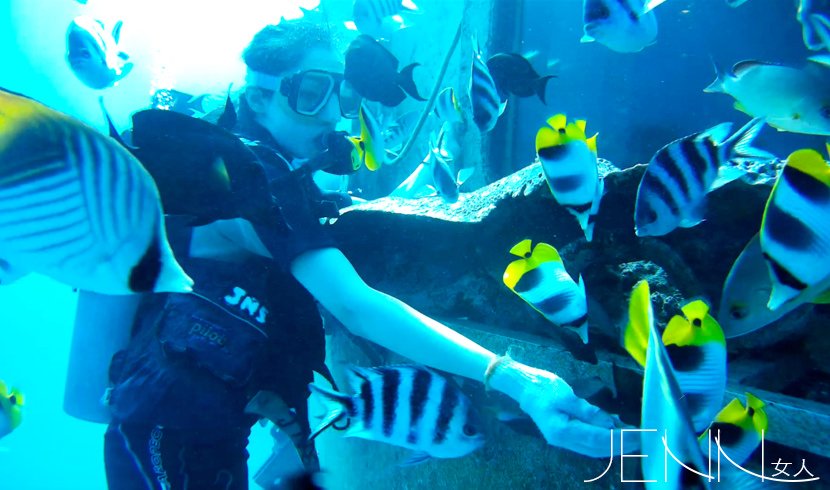 JNSDivers07.jpg