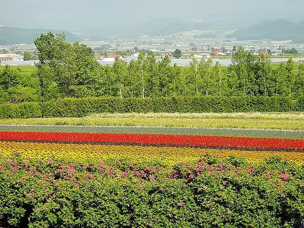 DAY4-富田農場四