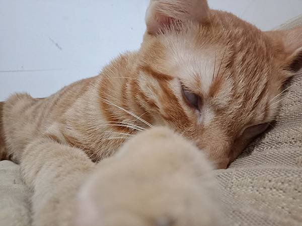 IMG20191009205012.jpg