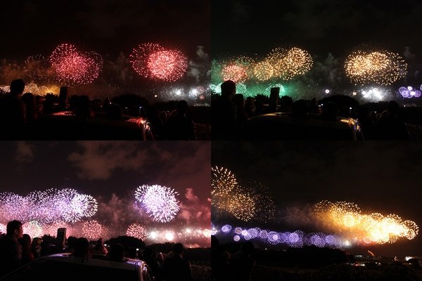 2011跨年大佳河濱-4.jpg