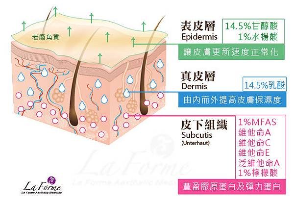 Aufbau Hautschichten Epidermis Dermis Subcutis.jpg