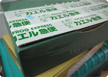 青蛙宅急便紙膠帶箱