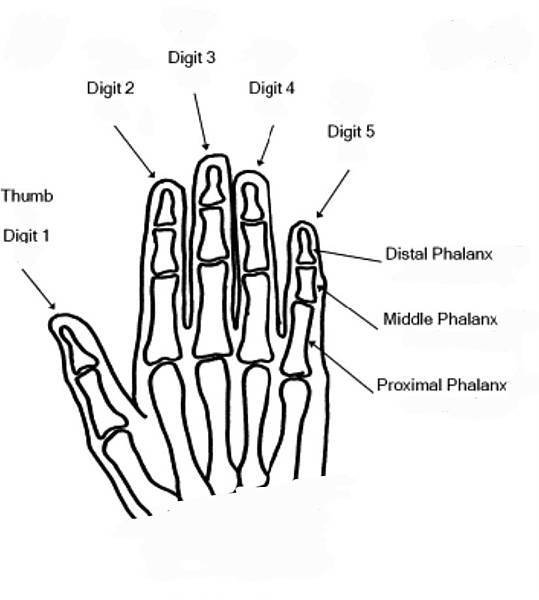 381-10.jpg