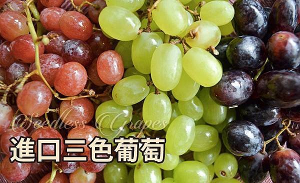 台北濱江三色葡萄.jpg
