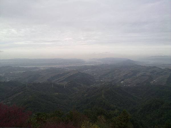 20100124023