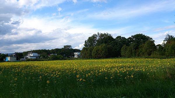 20140913  北海道----- 道東九日單車之旅 Day 6