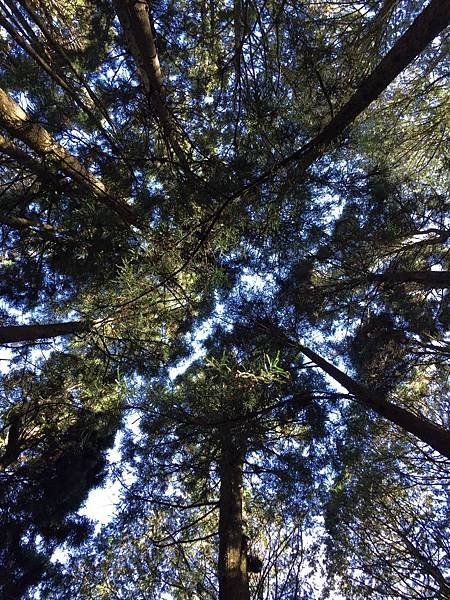 Image_03c45cb.jpg