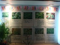 DSC01735.JPG