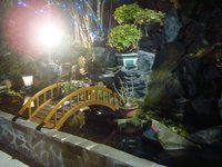 DSC01691.JPG