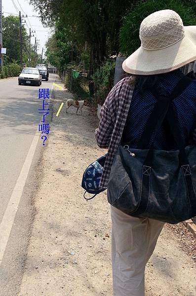 30-crop-20150412.jpg