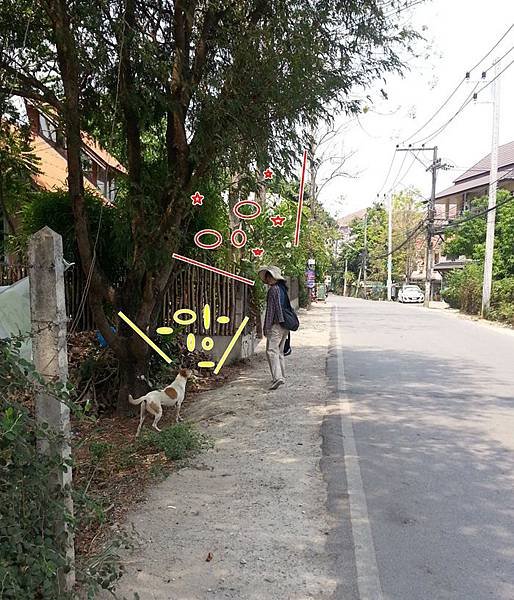 46-c-20150412.jpg