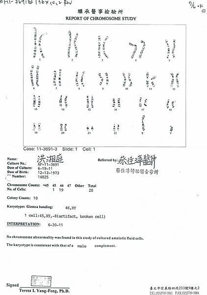 羊膜穿刺檢查報告