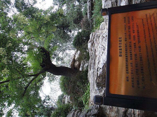 DSC00670.JPG
