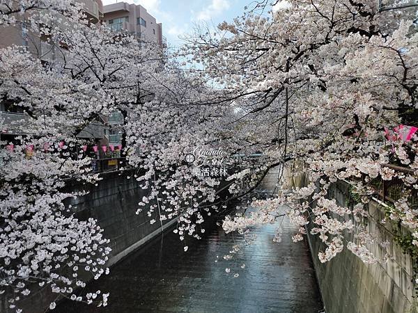 素食心旅行--東京自由行  讓素食者也能盡享東京美食的東京素