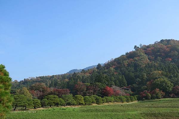 修學院離宮