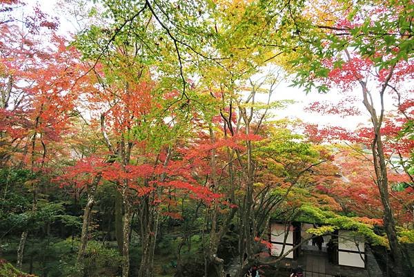 常寂光寺