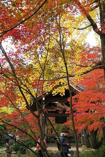 常寂光寺