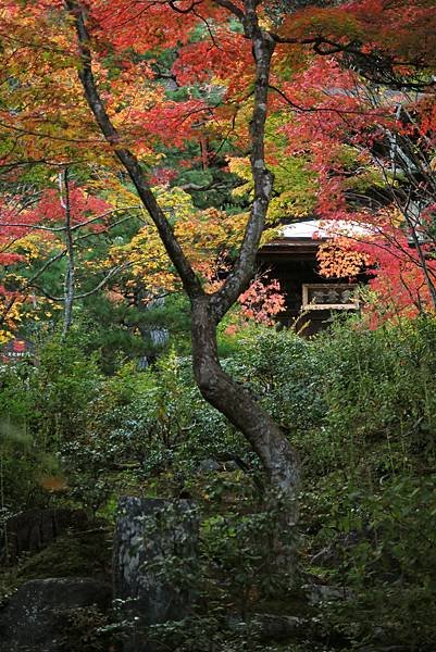 常寂光寺