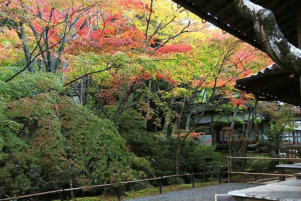 常寂光寺