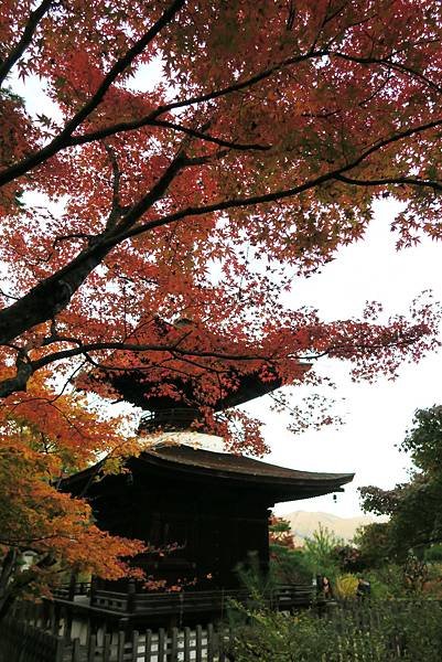 常寂光寺