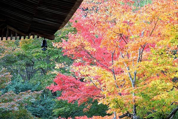 常寂光寺