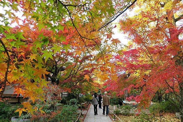 常寂光寺