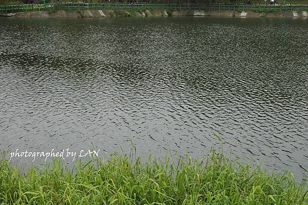 DSC_0013.JPG