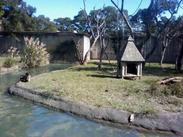 SA3D0110.JPG