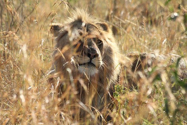 Kenya2011_007.jpg