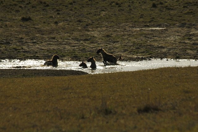 Kenya2011_005.jpg