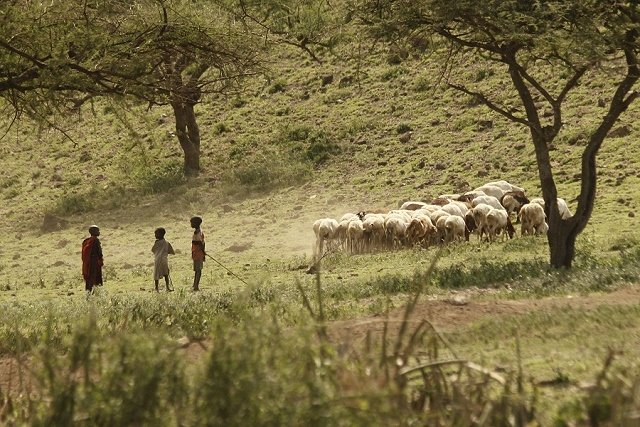 Kenya2011_002.jpg