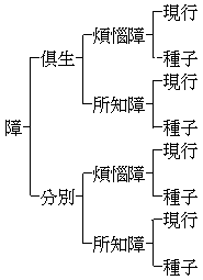 种子和现行.png