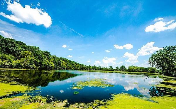 landscape-photography-of-body-of-water-near-trees-1114546.jpg