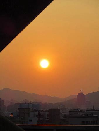 IMG_4833-1.jpg