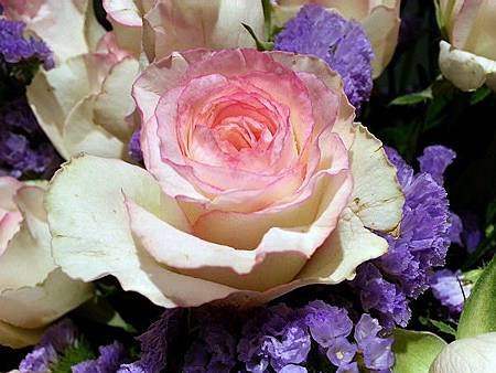 20140714_171429-s.jpg