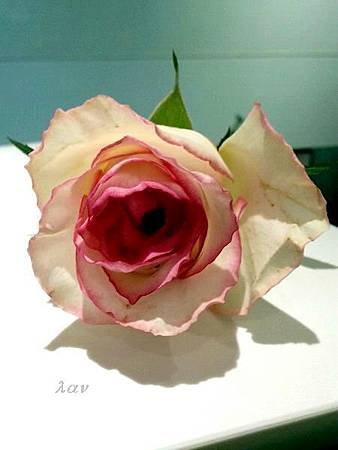 20140714_171557-s.jpg
