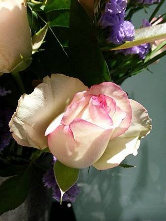 20140714_172216-s.jpg