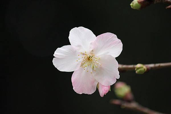IMG_9965-1.jpg