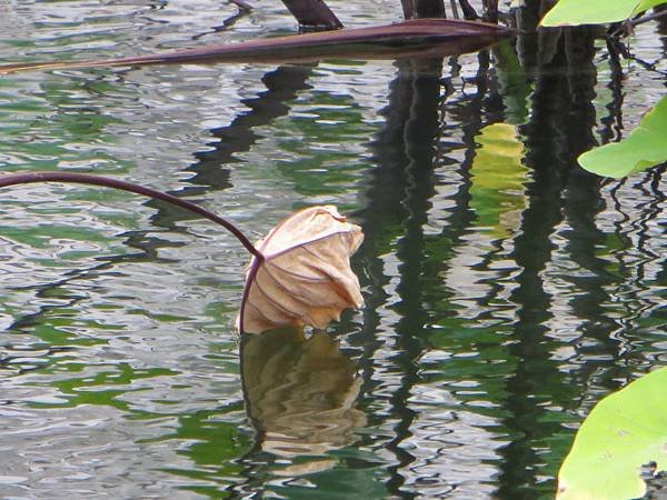 IMG_6019.JPG