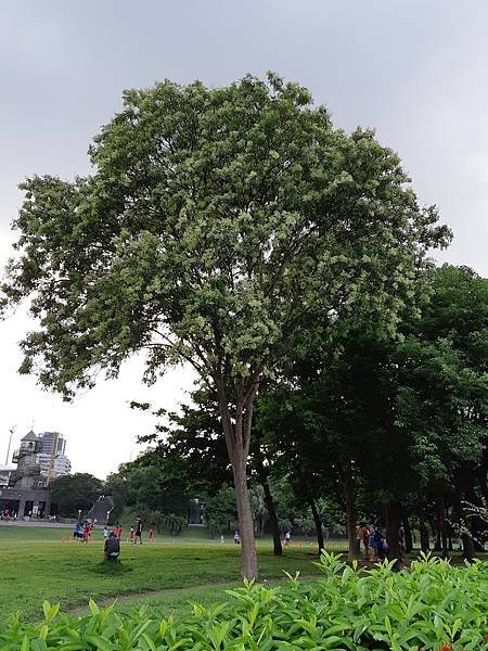 20190629_173601.jpg