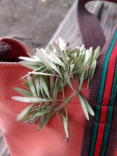 20190629_180055.jpg
