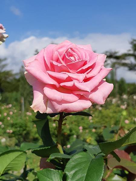 20191123_135214.jpg