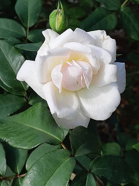 20191123_141605.jpg