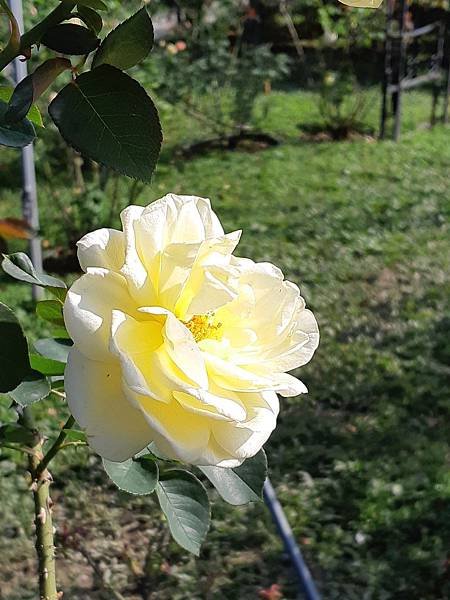 20191127_112937.jpg