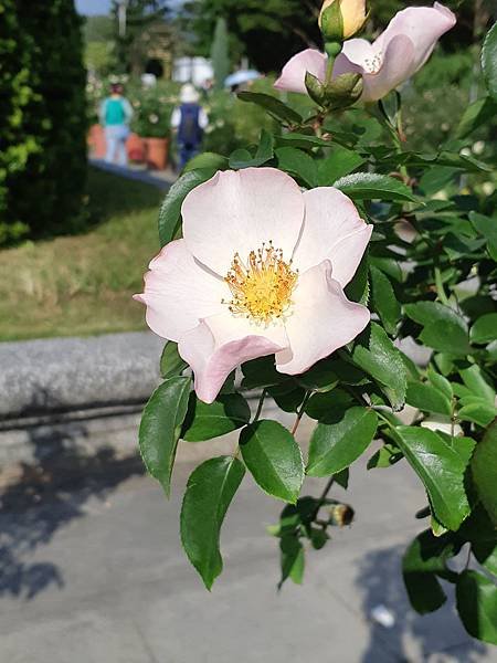 20191123_135418.jpg